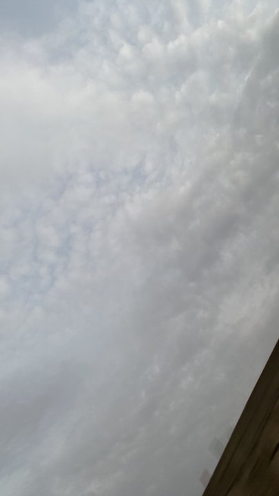 مشاركاتي في أنت الراصد