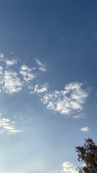 مشاركاتي في أنت الراصد