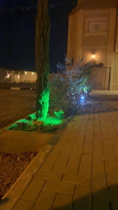 مشاركاتي في أنت الراصد