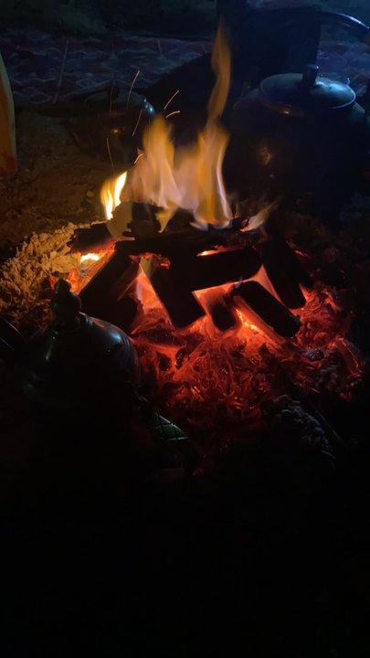 مشاركاتي في أنت الراصد