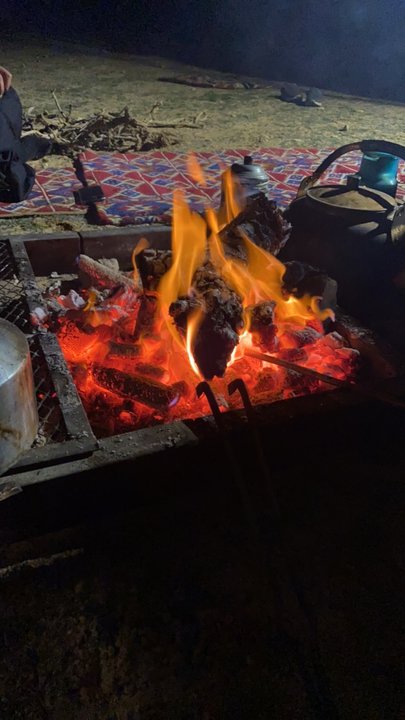 مشاركاتي في أنت الراصد