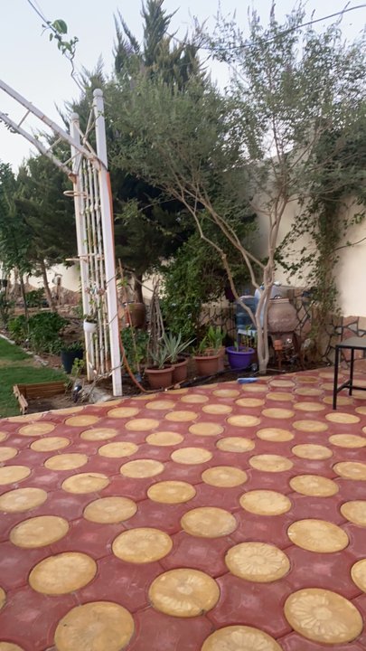 مشاركاتي في أنت الراصد