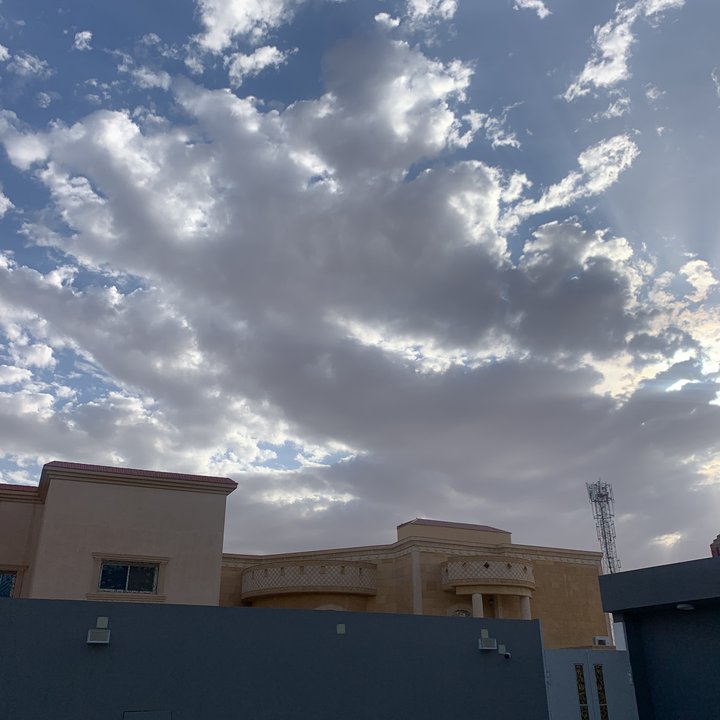 مشاركاتي في أنت الراصد