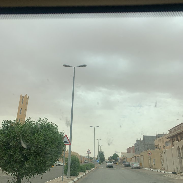 مشاركاتي في أنت الراصد