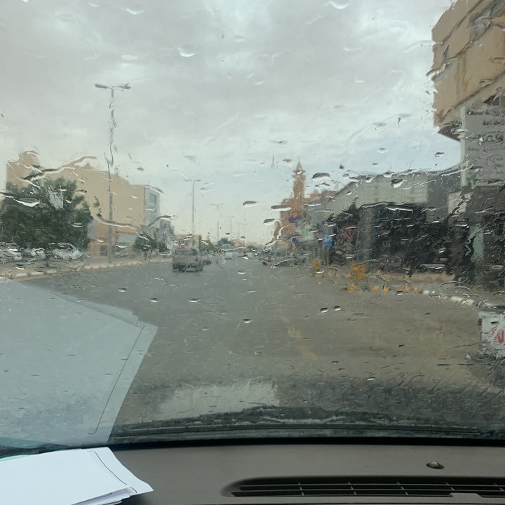 مشاركاتي في أنت الراصد