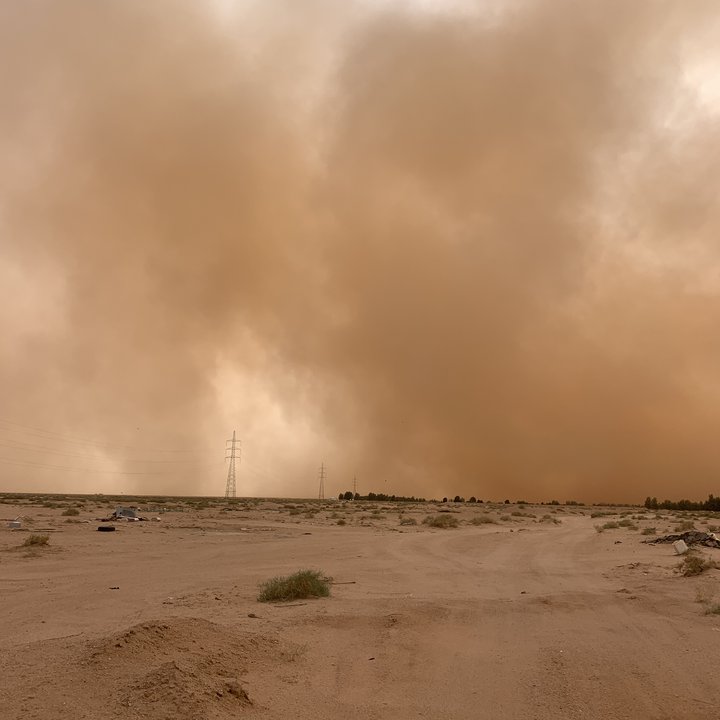 مشاركاتي في أنت الراصد