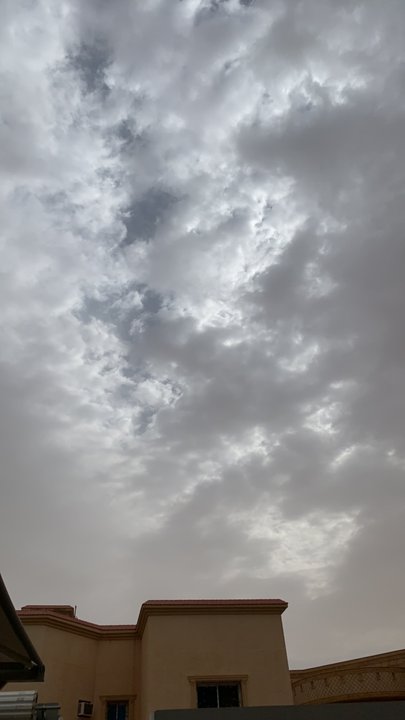 مشاركاتي في أنت الراصد