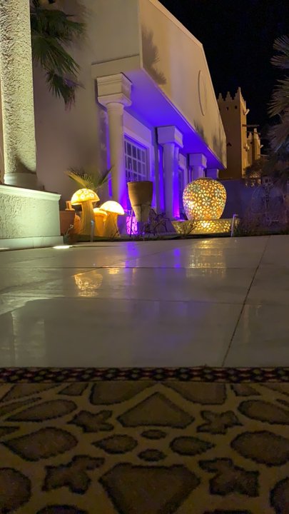 مشاركاتي في أنت الراصد