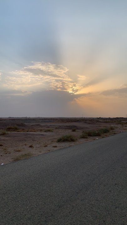 مشاركاتي في أنت الراصد