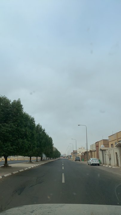 مشاركاتي في أنت الراصد