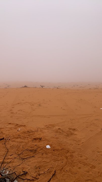 مشاركاتي في أنت الراصد