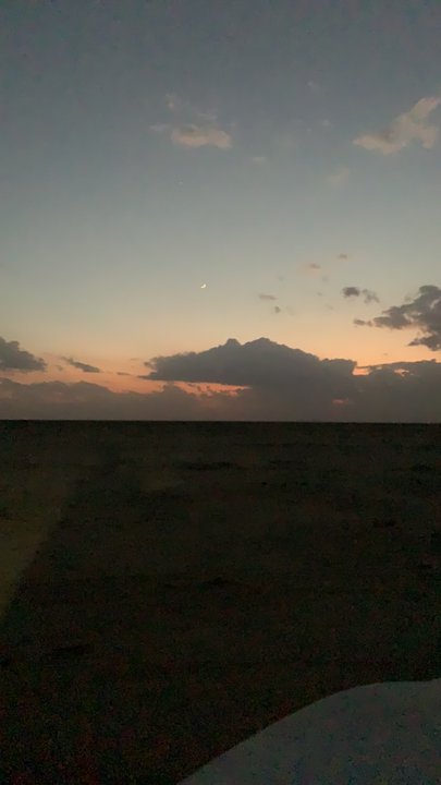 مشاركاتي في أنت الراصد