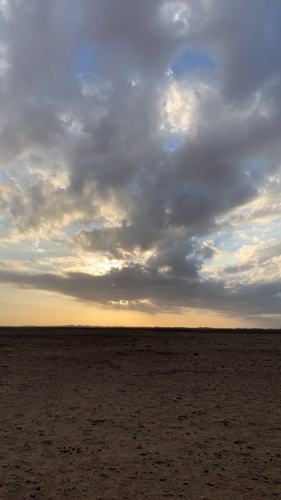 مشاركاتي في أنت الراصد