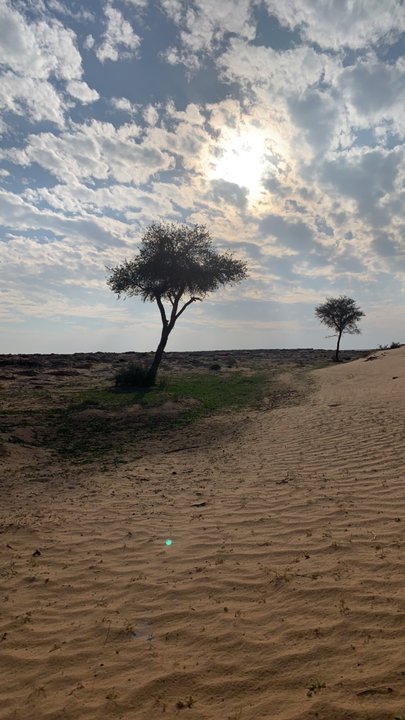 مشاركاتي في أنت الراصد