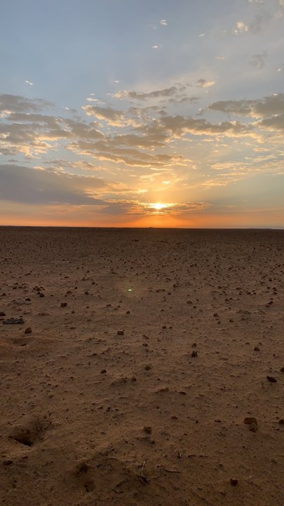 مشاركاتي في أنت الراصد