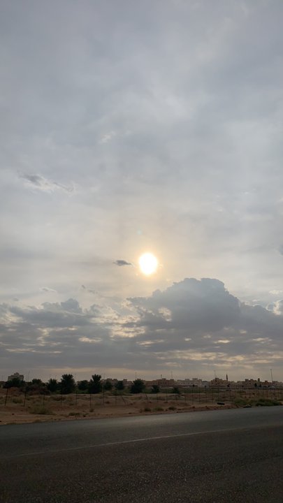 مشاركاتي في أنت الراصد