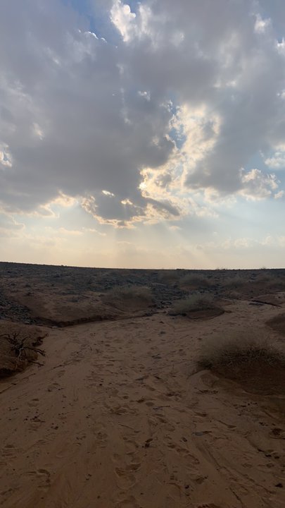 مشاركاتي في أنت الراصد