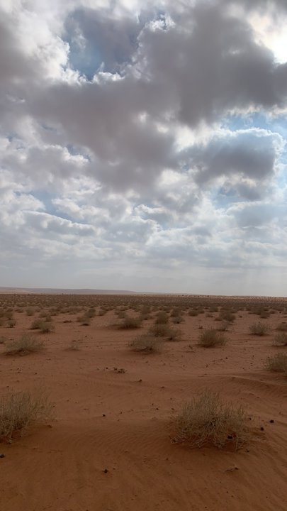 مشاركاتي في أنت الراصد