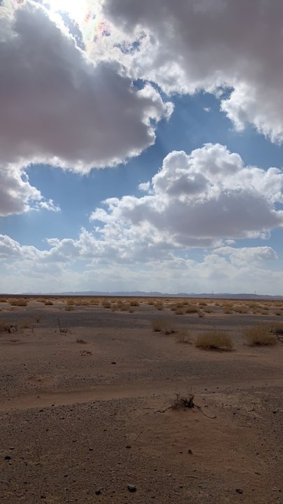 مشاركاتي في أنت الراصد