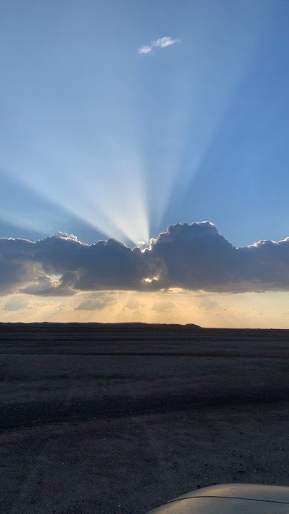 مشاركاتي في أنت الراصد