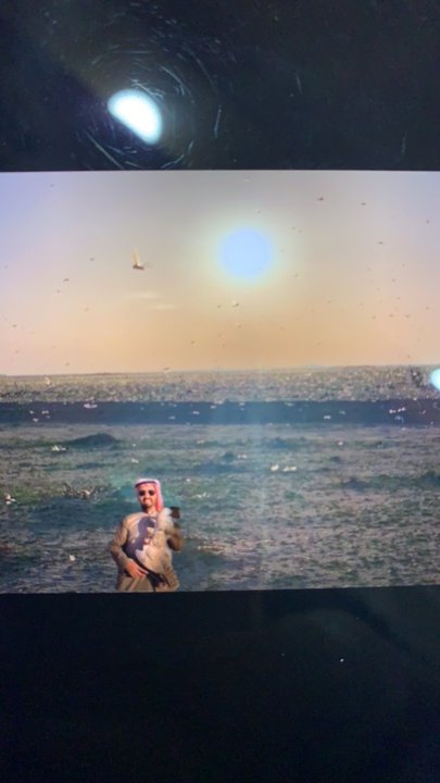 مشاركاتي في أنت الراصد