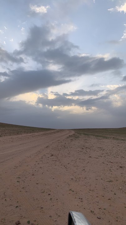 مشاركاتي في أنت الراصد