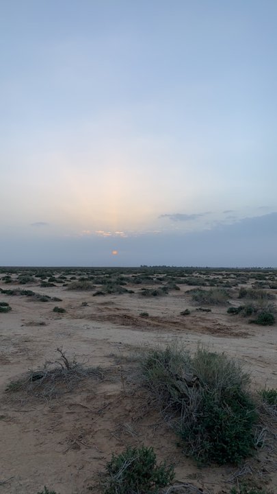 مشاركاتي في أنت الراصد