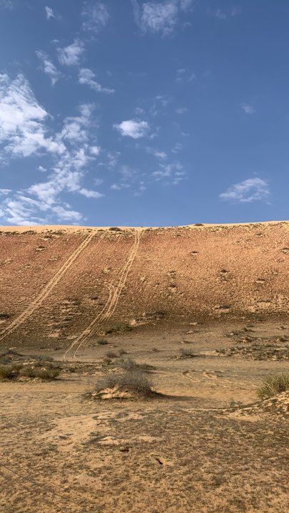 مشاركاتي في أنت الراصد