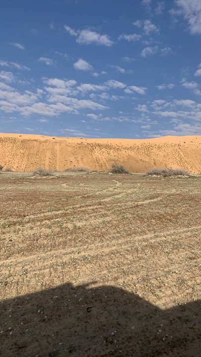 مشاركاتي في أنت الراصد