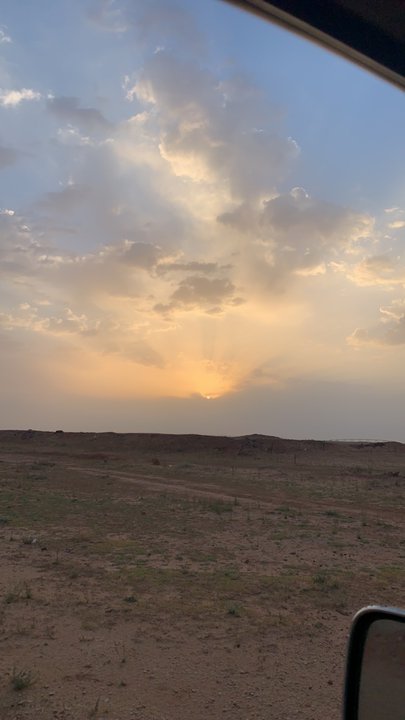 مشاركاتي في أنت الراصد