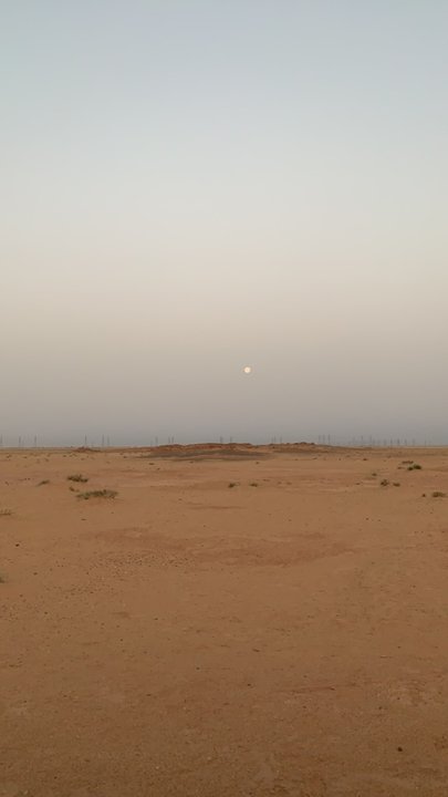 مشاركاتي في أنت الراصد