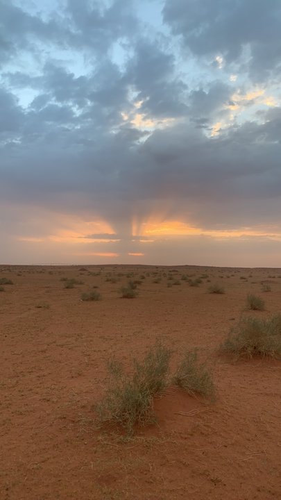 مشاركاتي في أنت الراصد