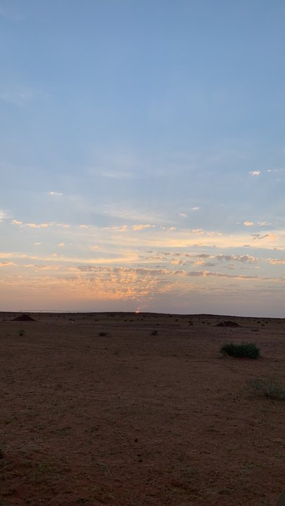 مشاركاتي في أنت الراصد