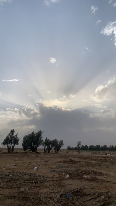 مشاركاتي في أنت الراصد