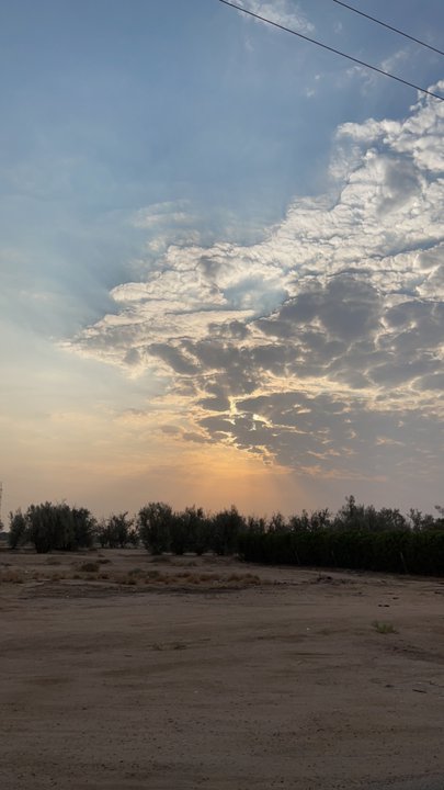 مشاركاتي في أنت الراصد