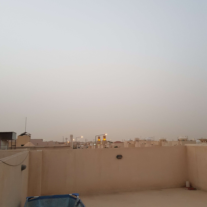 مشاركاتي في أنت الراصد