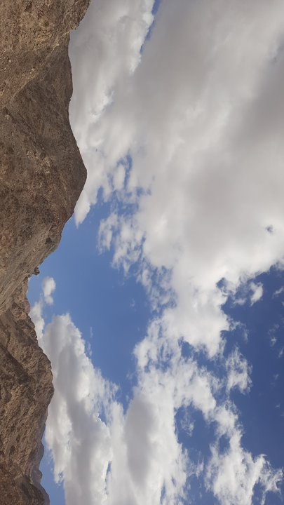 مشاركاتي في أنت الراصد