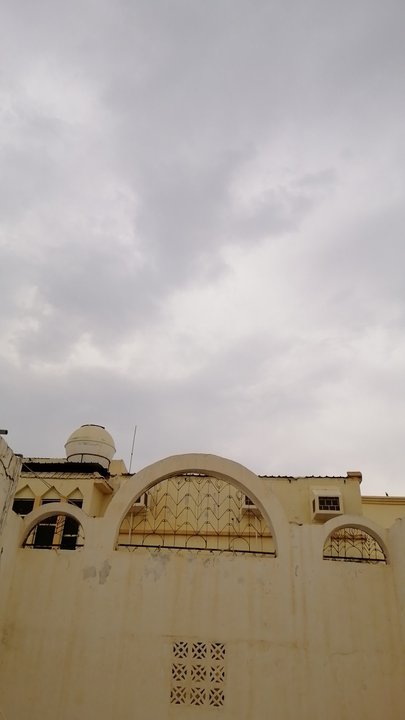 مشاركاتي في أنت الراصد