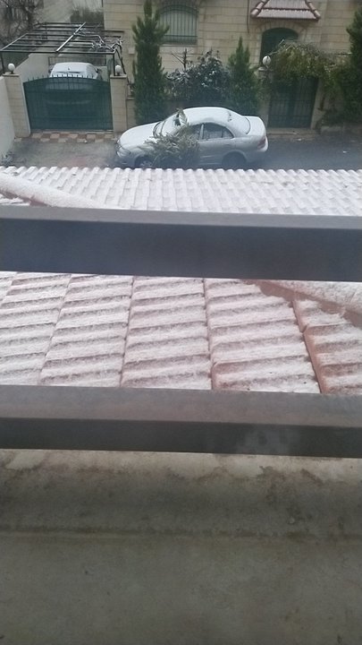 مشاركاتي في أنت الراصد